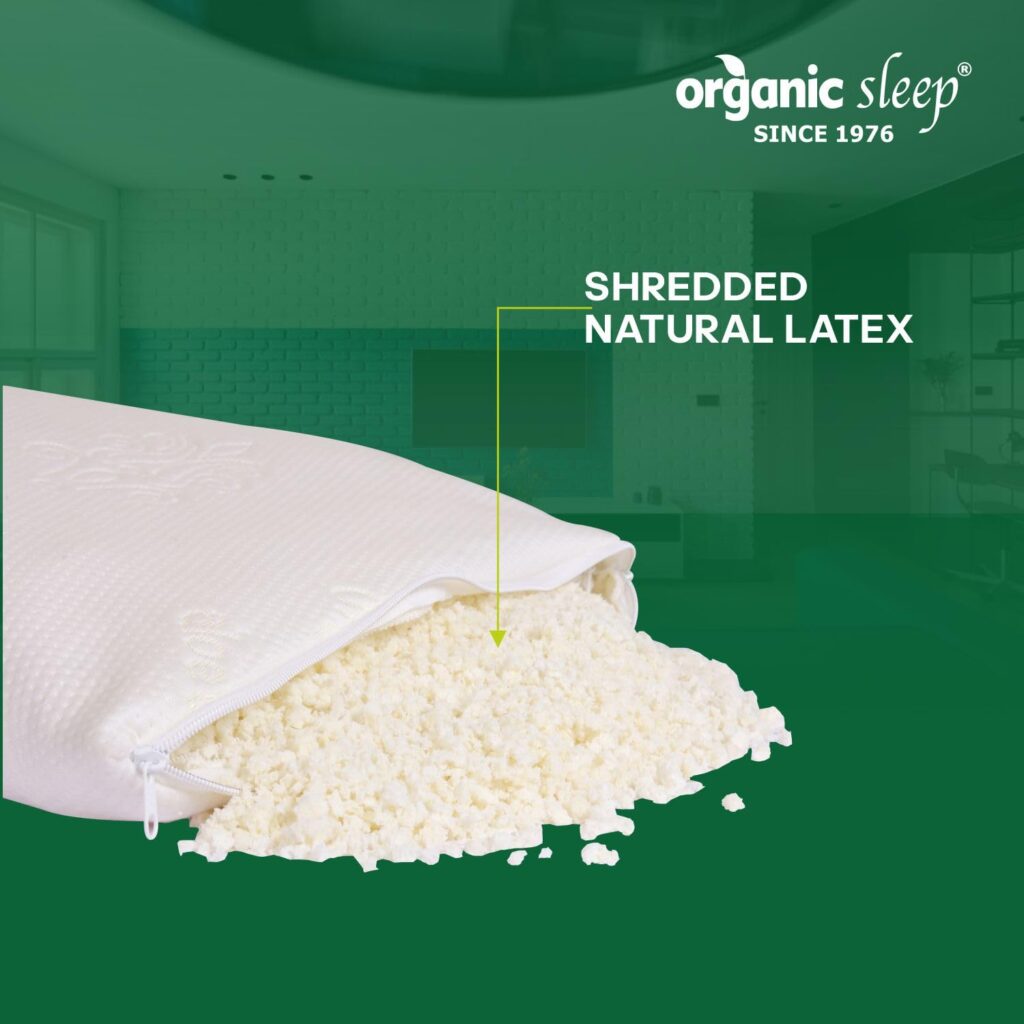 ORGANIC SLEEP Shredded Natural Latex Pillow with Cotton Cover – 24x16 Inch, 6-Inch Thickness, Breathable and Adjustable, Eco-Friendly and Antimicrobial
